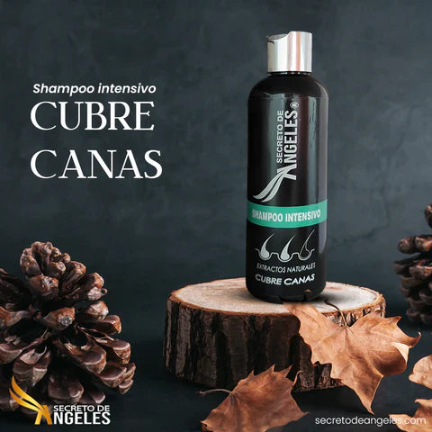 SHAMPOO CUBRECANAS + REGALOS EXCLUSIVOS